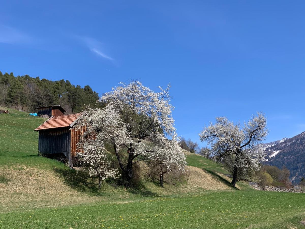 Traumapartment Murmeltier Tirol Grins Exteriör bild