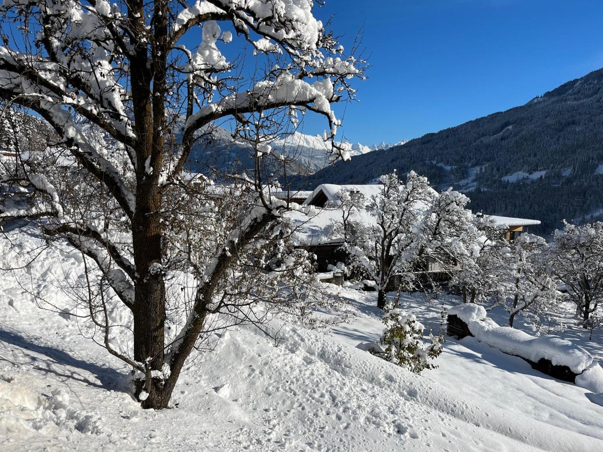 Traumapartment Murmeltier Tirol Grins Exteriör bild