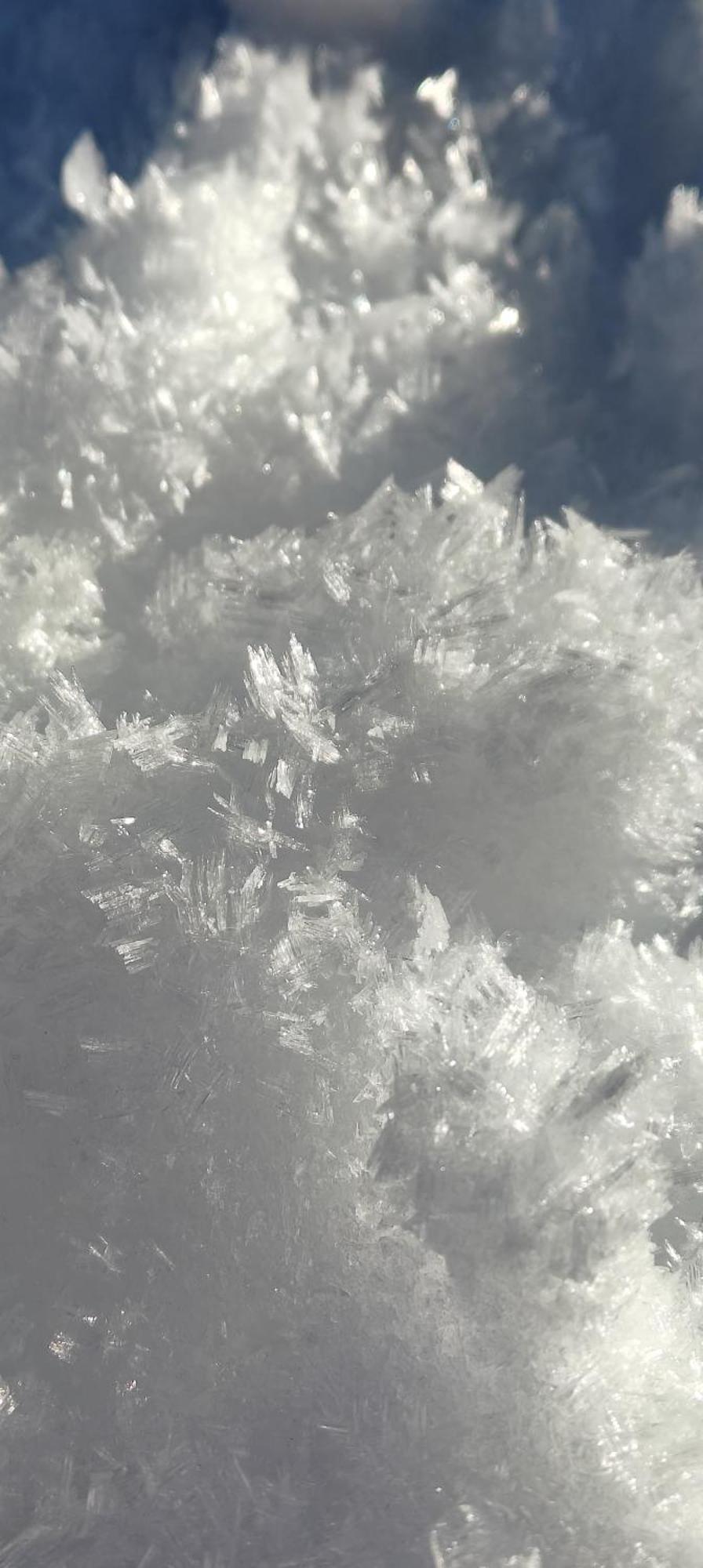 Traumapartment Murmeltier Tirol Grins Exteriör bild