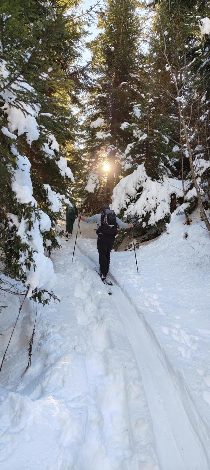 Traumapartment Murmeltier Tirol Grins Exteriör bild