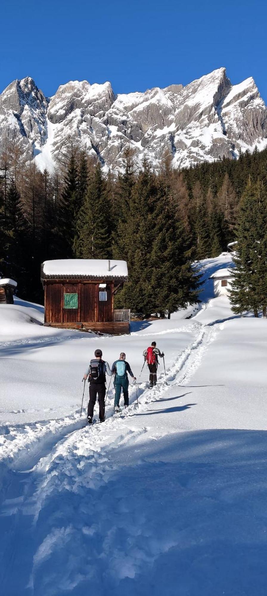 Traumapartment Murmeltier Tirol Grins Exteriör bild